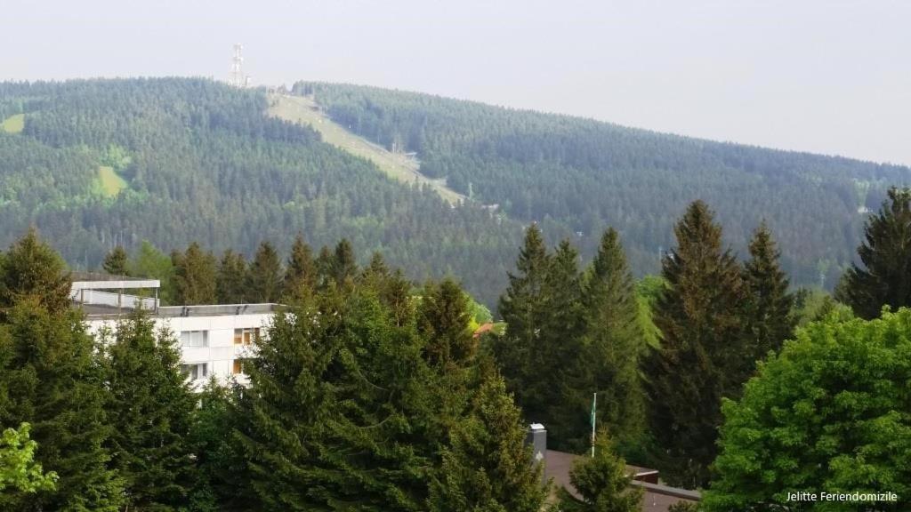 App 507 Bocksbergblick Im Ferienpark Hahnenklee Haus 1 Goslar Exterior foto